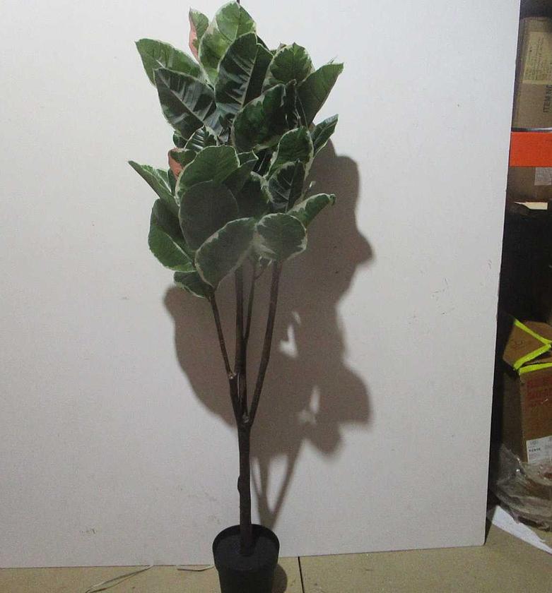 White pak 62lvs image