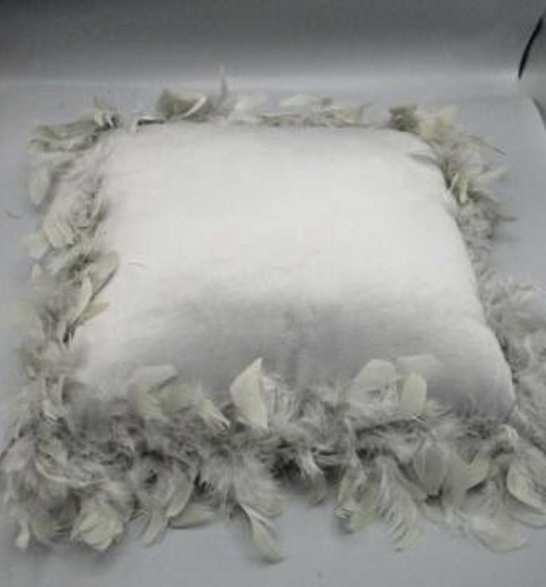 COMPRESSED FEATHERS CUSHI image