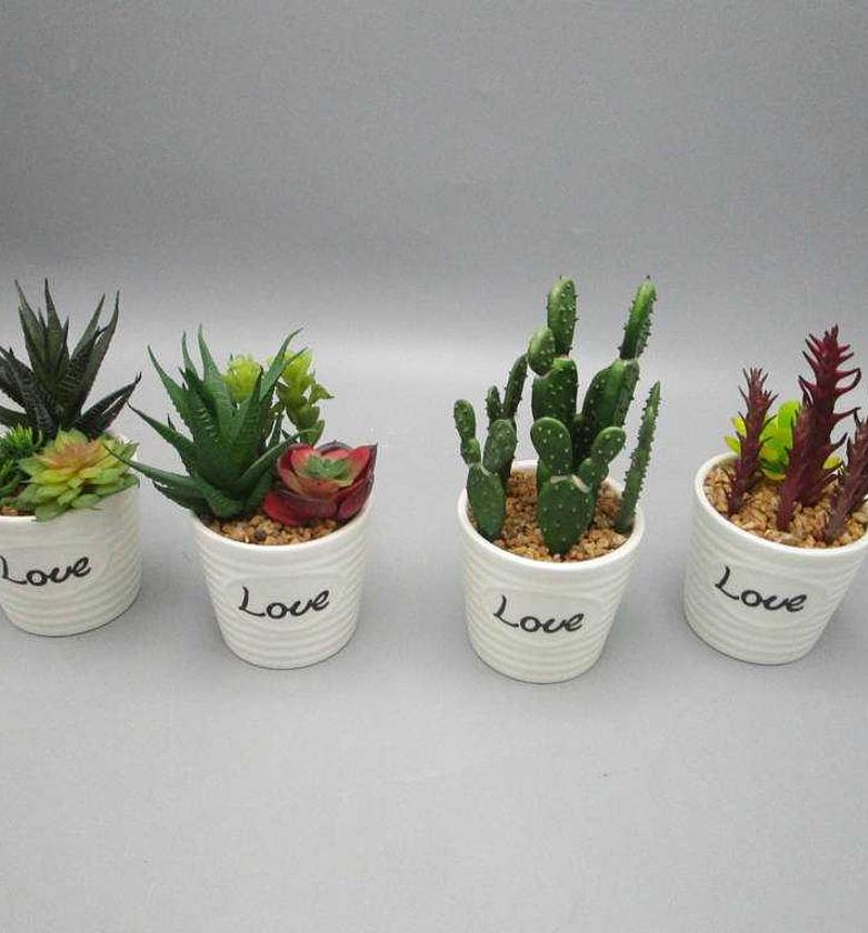 Artificial cactus in ceramic pot image