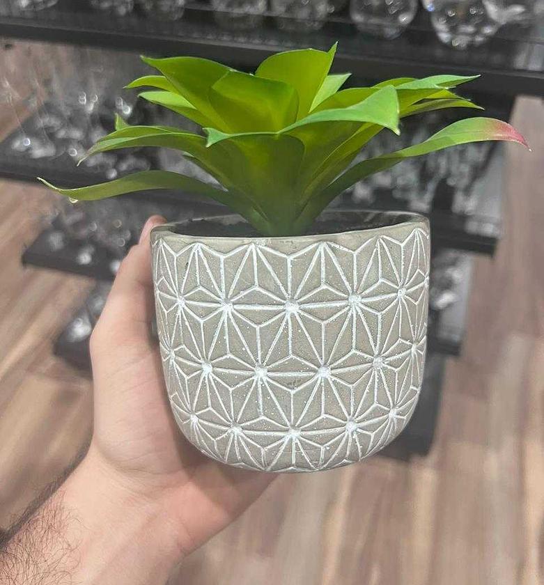 Artificial potted succulent #ref:ch06710034 image