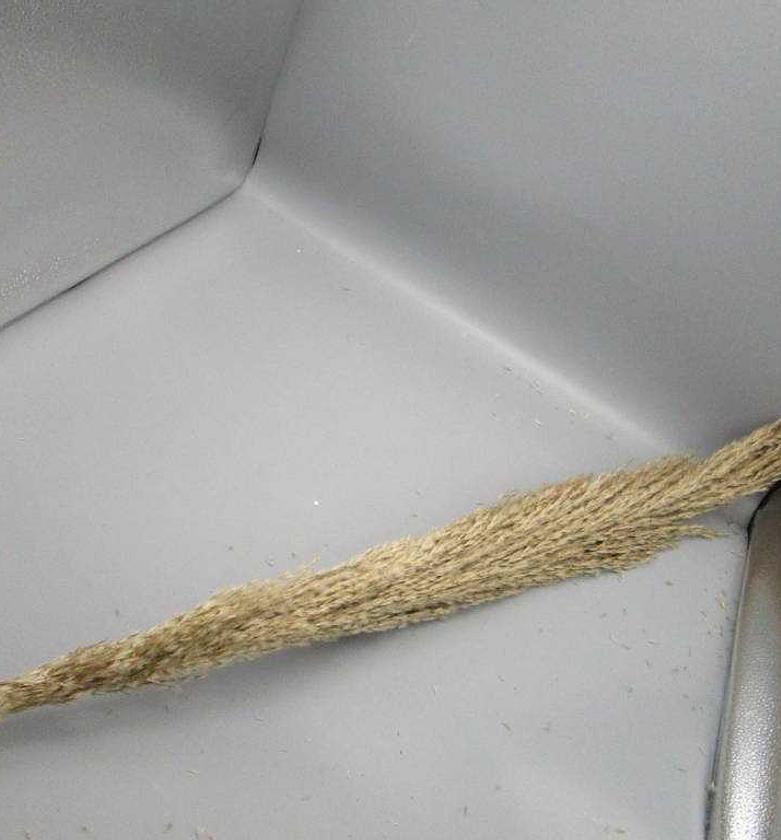 PAMPAS 150CM DECORATION image