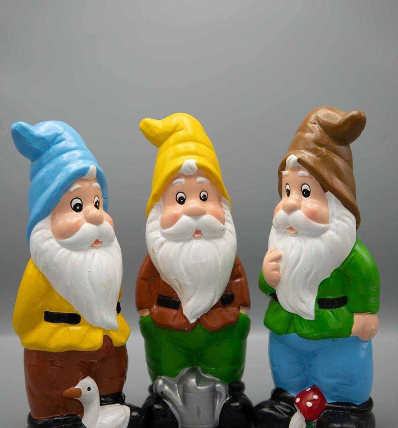 DWARF GARDEN 30CM 4ASS image