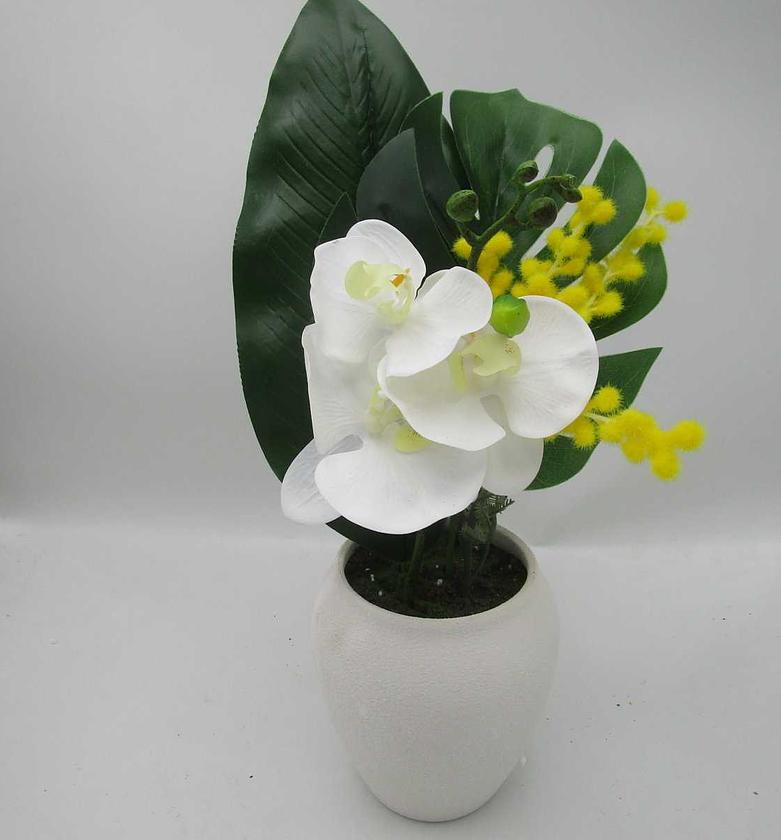 Artificial orchid in cera image