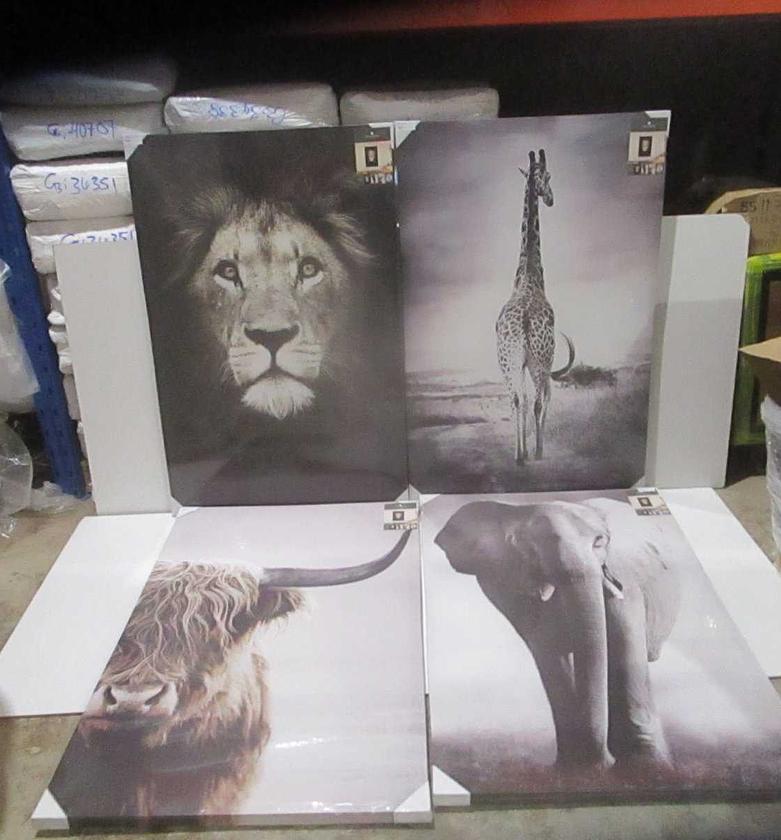 Animal canvas 75x115 asr dis image