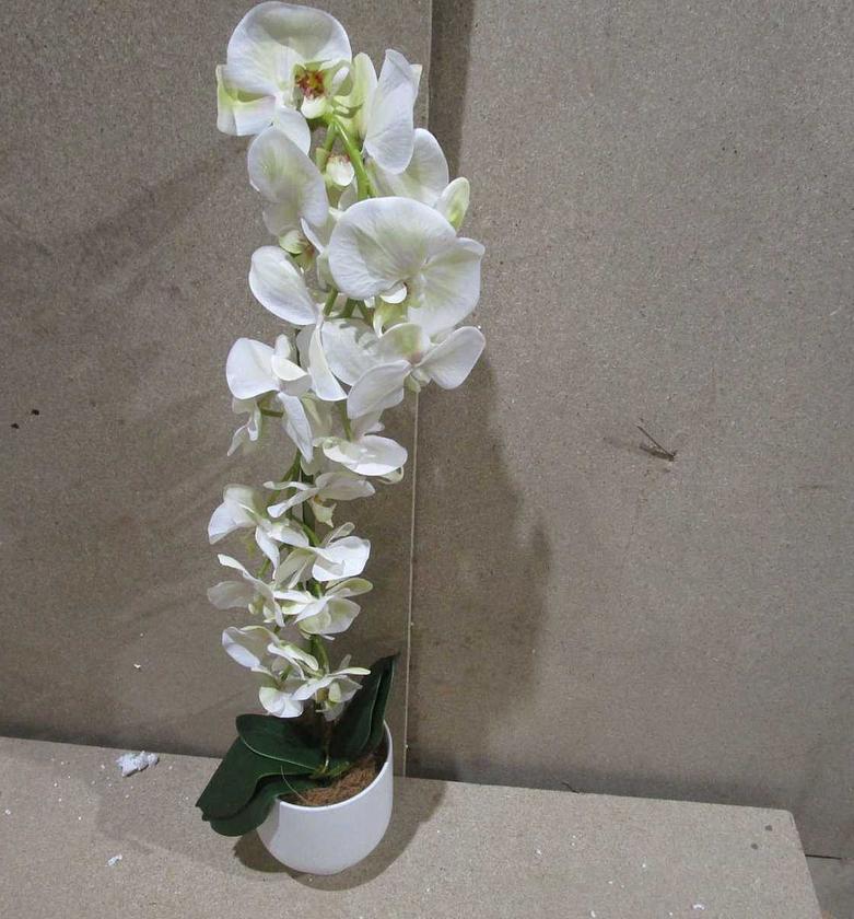 Artificial orchid in cera image