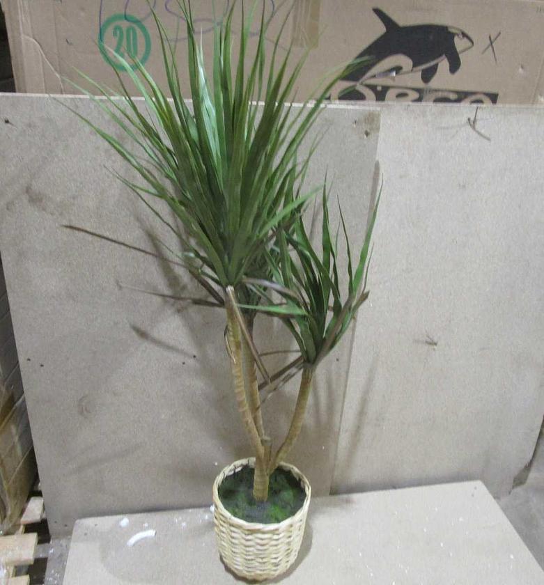 Artificial yucca in baske image