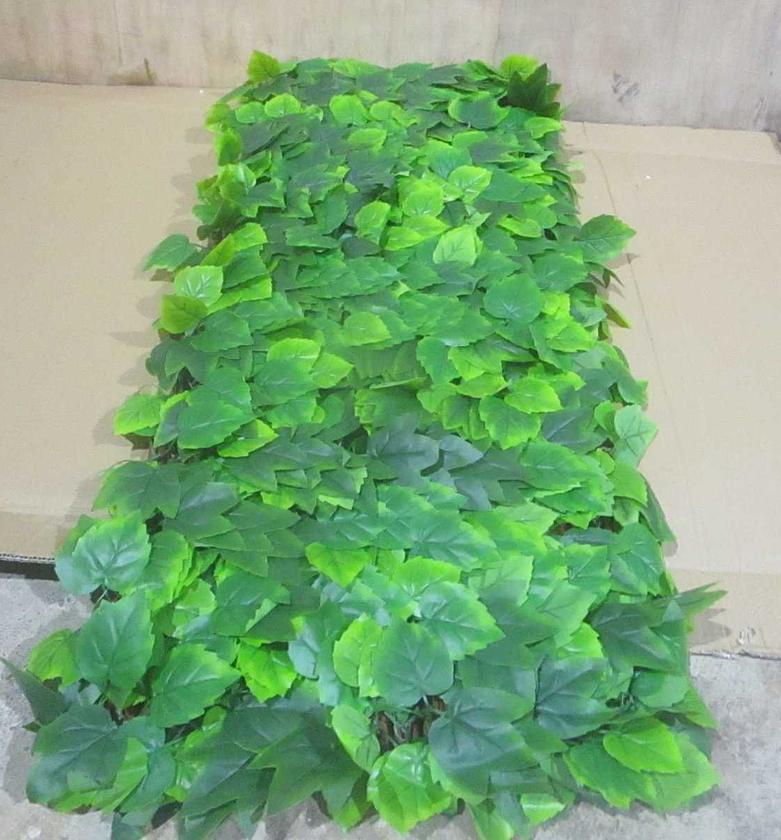 Leaves extensible landscape , image