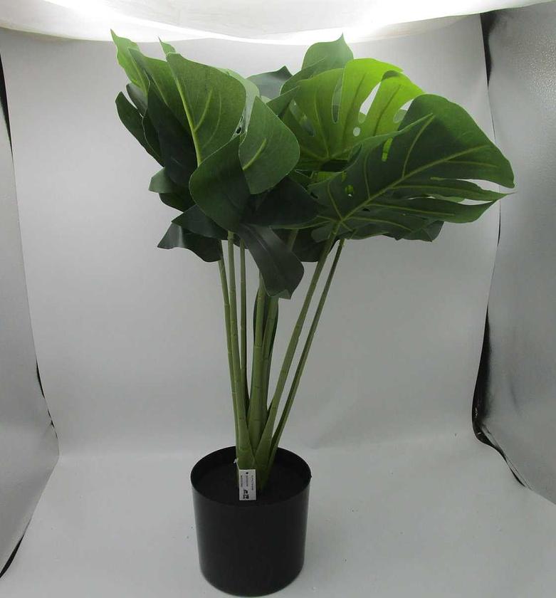Artificial monstera in pl image