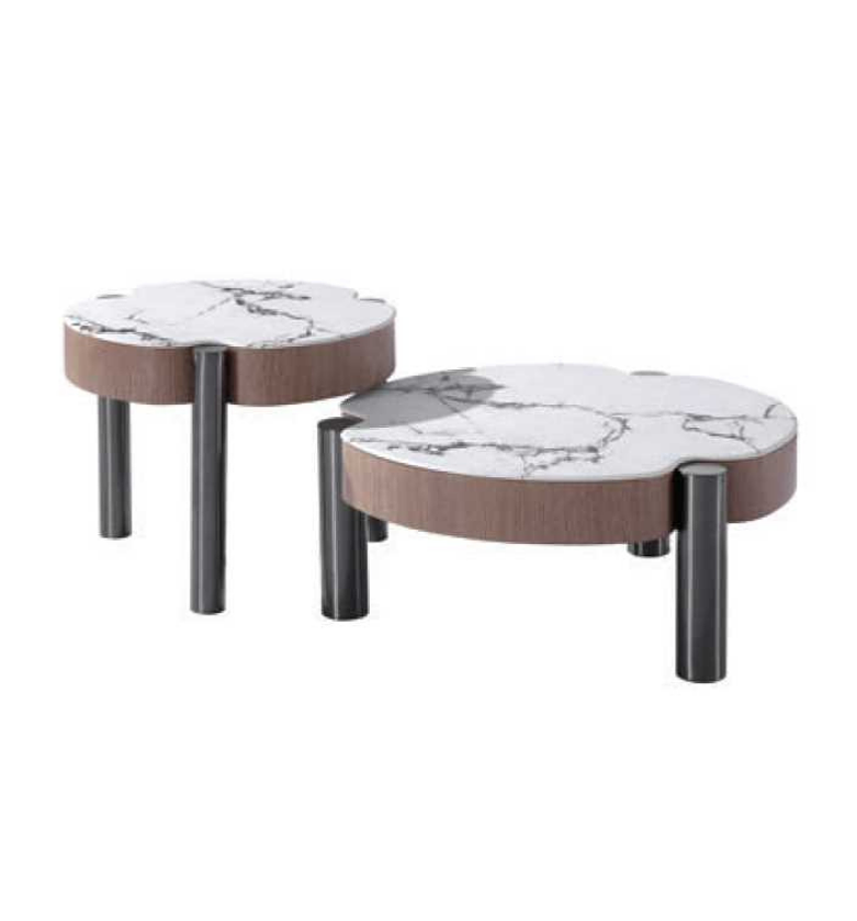 Coffee table mdf+ss 1141*654*380 image