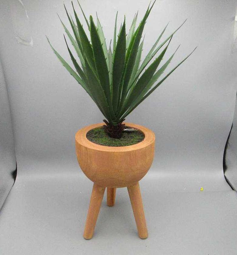 Agave in Wooden Pot H50.4 image