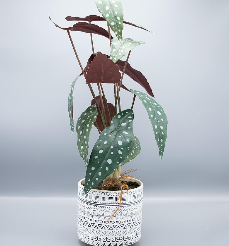 PHILO IN POT 56cm image