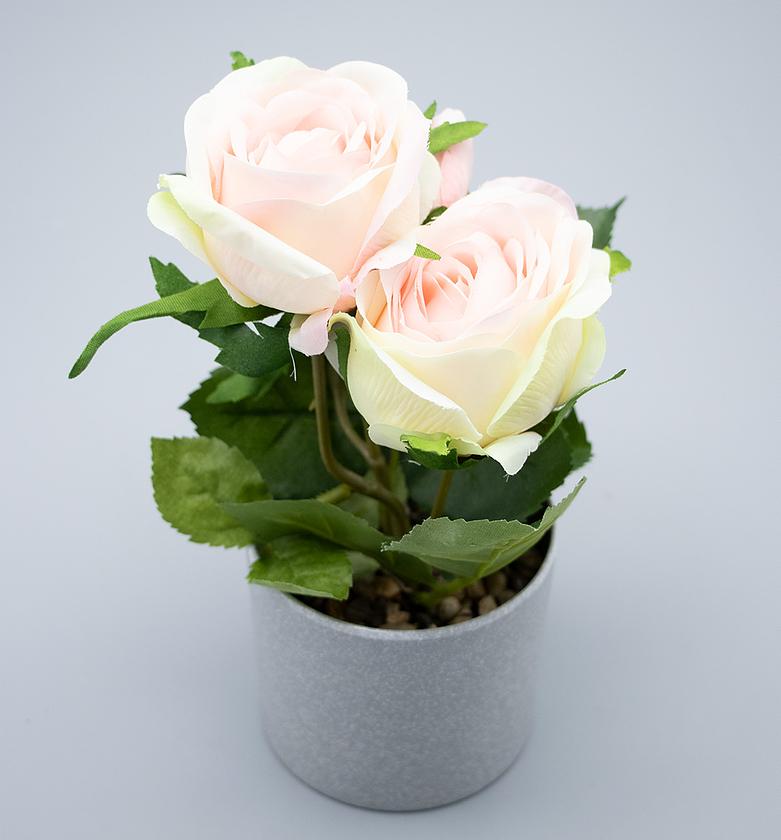 ROSE WPOT 33CM image