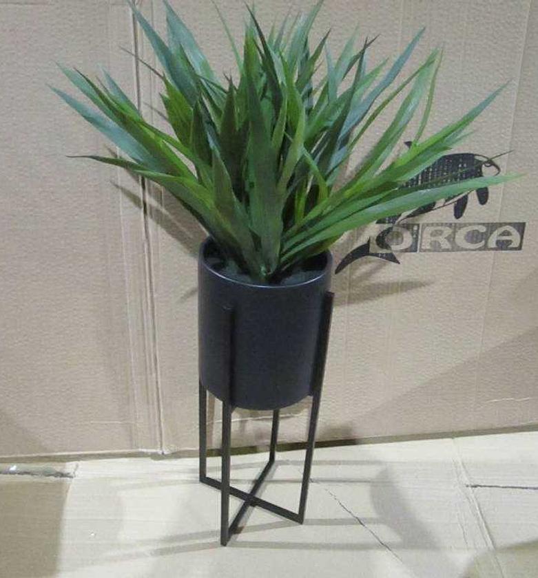 Big Grass in Ceramic Pot image