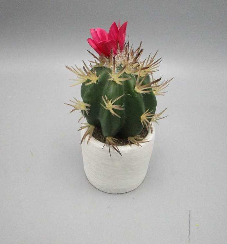 Artificial Mini Cactus – 15.5cm in Cement Pot image