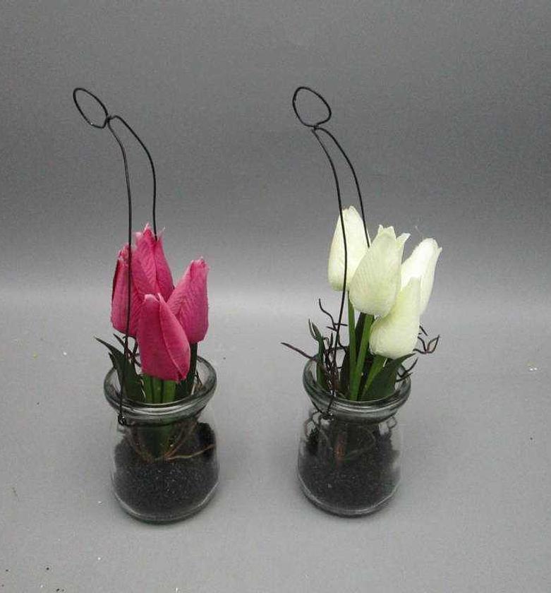 ASS 2 4 Heads Tulip With image