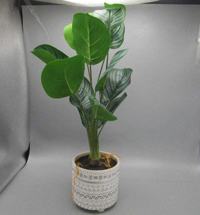 Artificial arrowroot in pot image