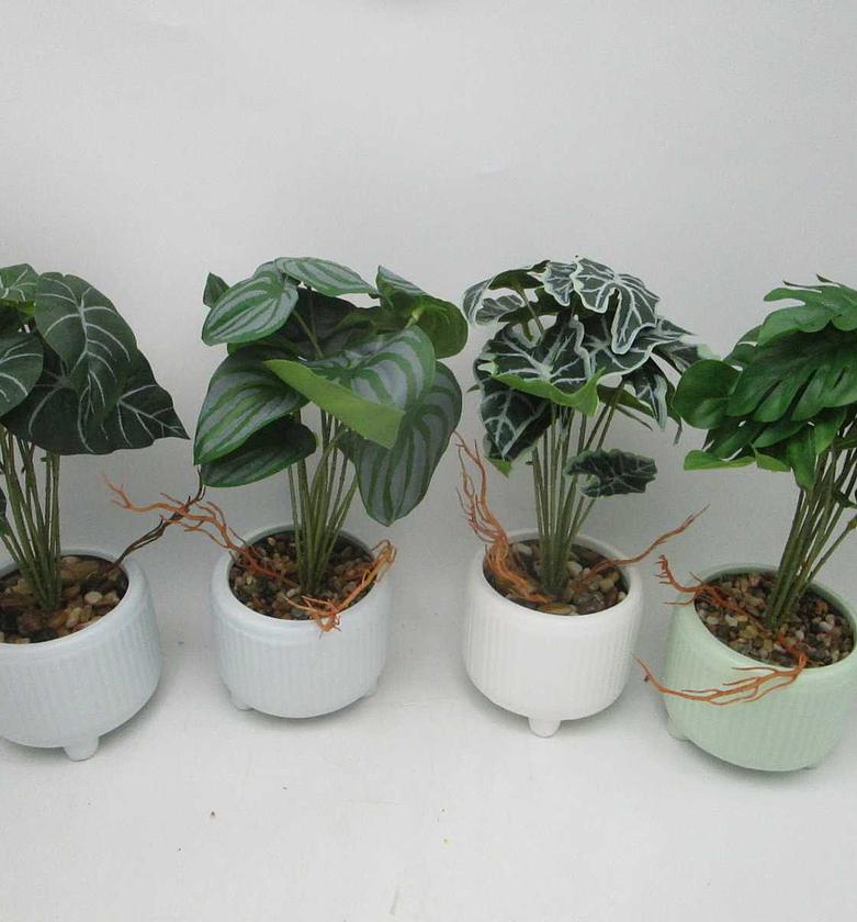 Artificial 4 design epipremnum image