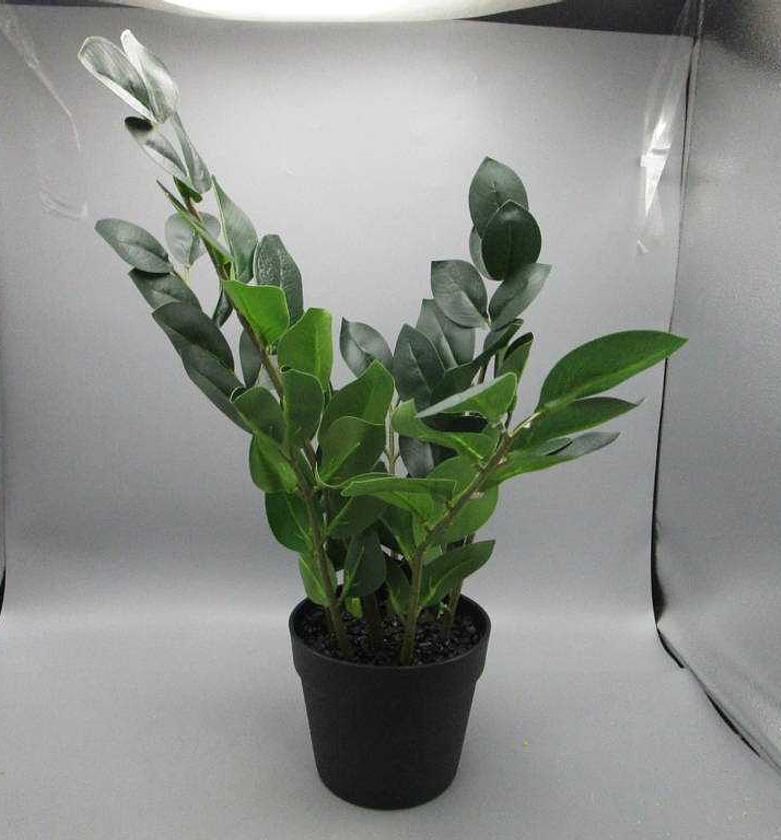 Artificial Zamioculcas Plant – 55cm Real Touch in Plastic Pot image