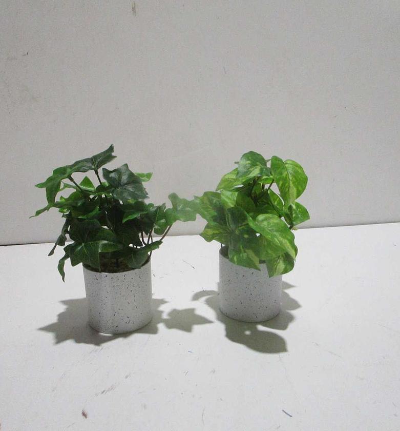 Real Touch Green Parthenocissus in Melamine Pot – 26cm Decorative Plant image