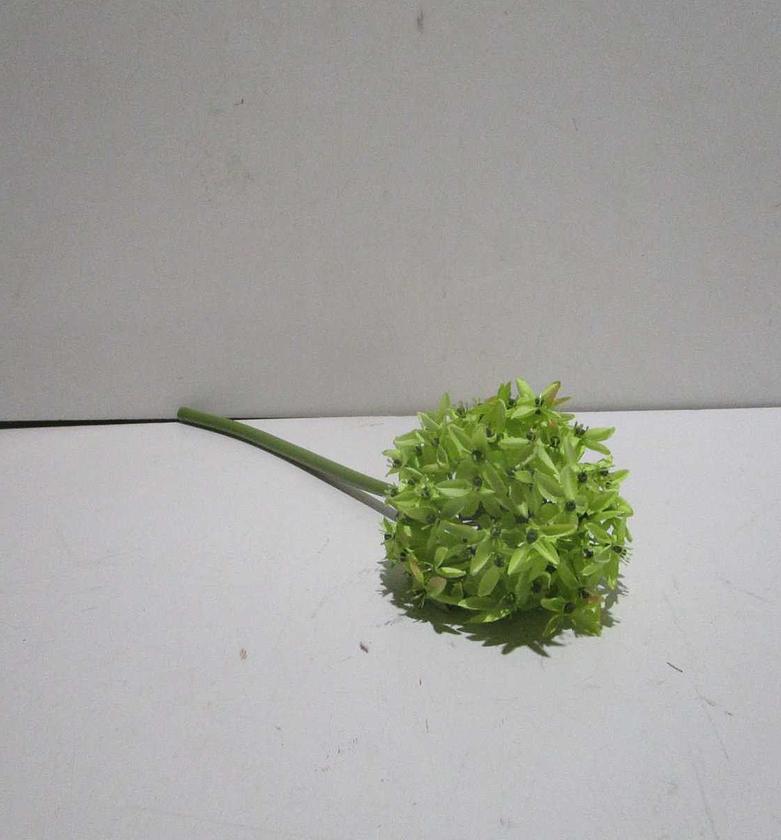 Lime Green Allium Globe Stem - 72cm image