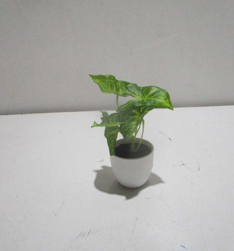 Artificial Taro Plant with 6 Leaves – in Plastic Pot image