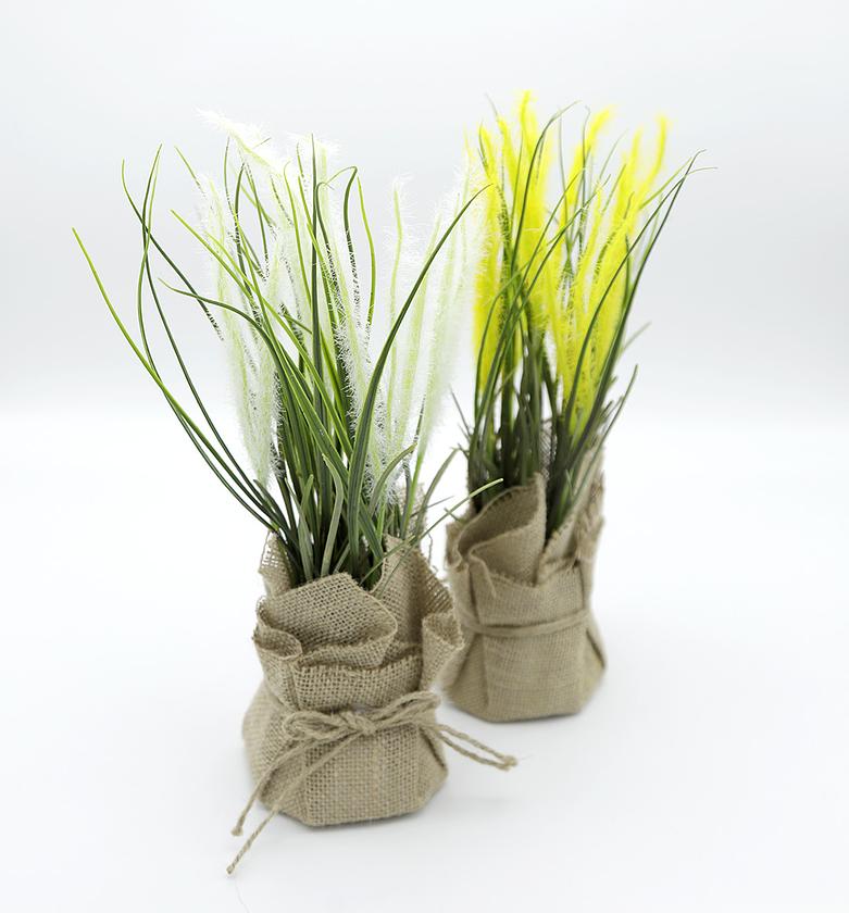 flower compositation whit image