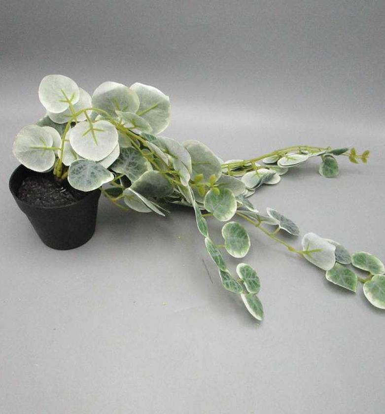 Artificial Ceropegia Woodii – 63cm in Plastic Pot image
