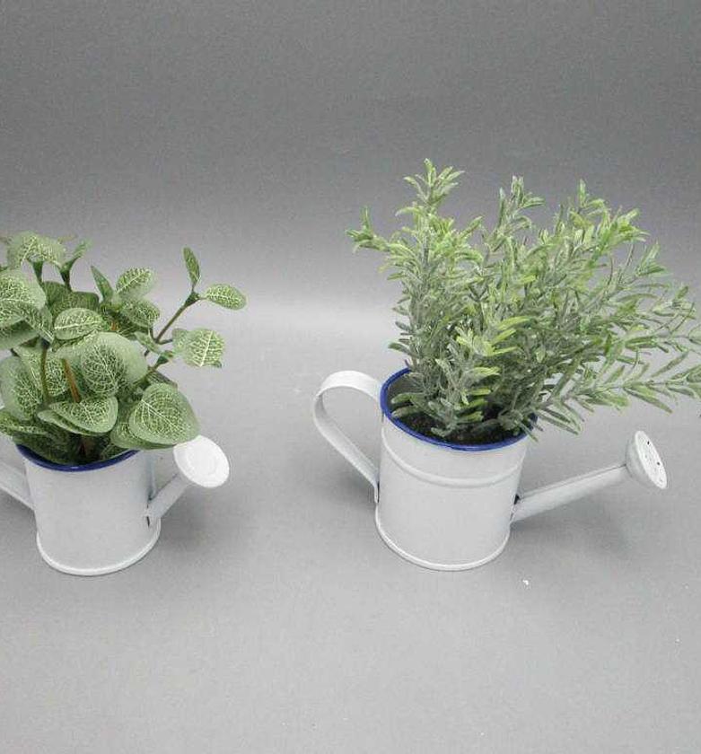 ASS 2 Flocking rosemary i image