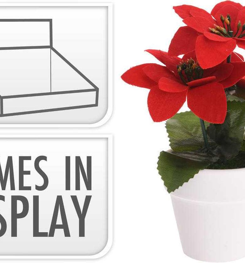 RED POINSETTA IN CERAMI P image