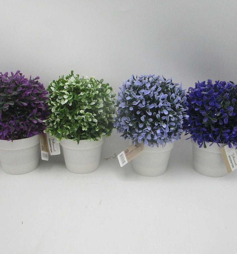 Herbe deco in pot white image