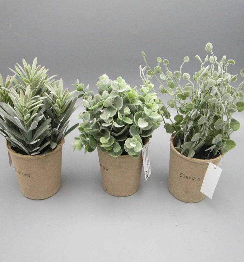 ASS 3 Flocking podocarpus image