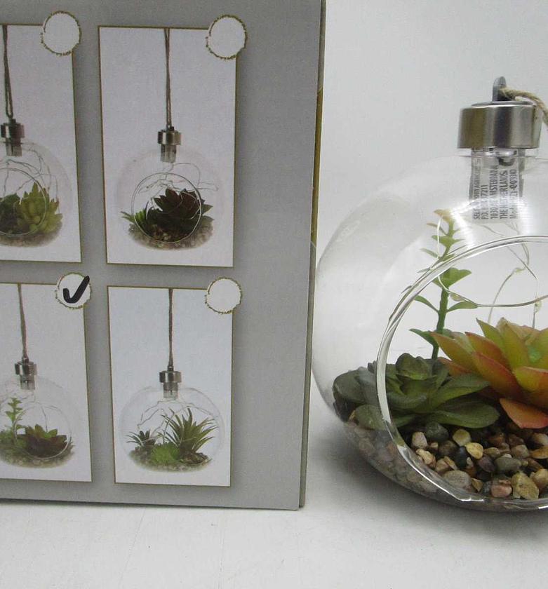 Plant in glass hanger 4as image