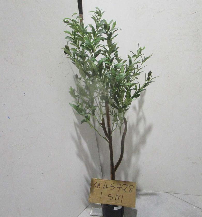 Tree olive series a 150cm image