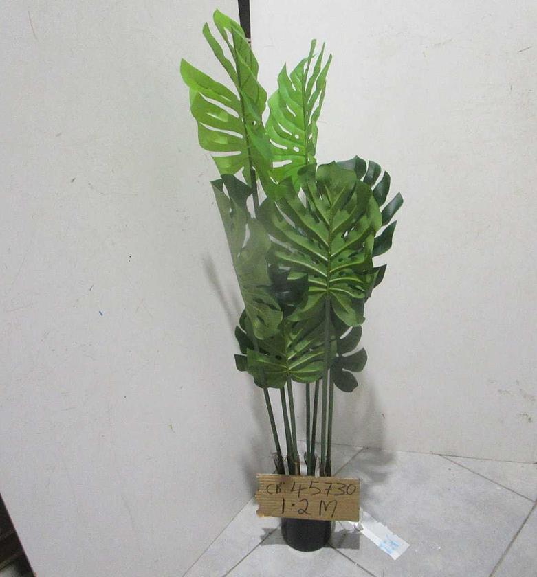 Plant series monstera d 120cm image