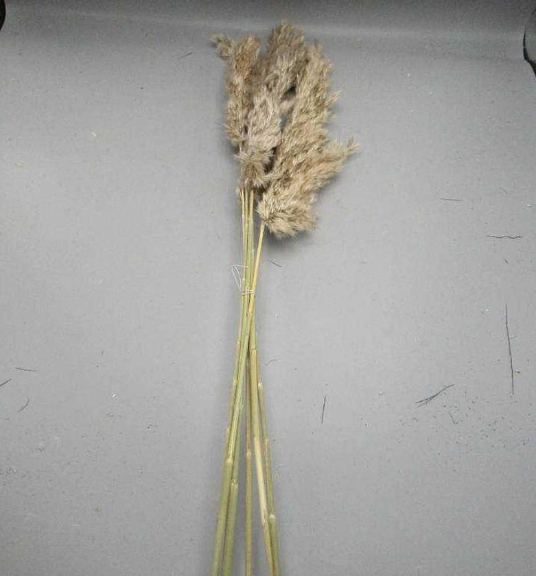 NATURAL LIVING - NATURAL image