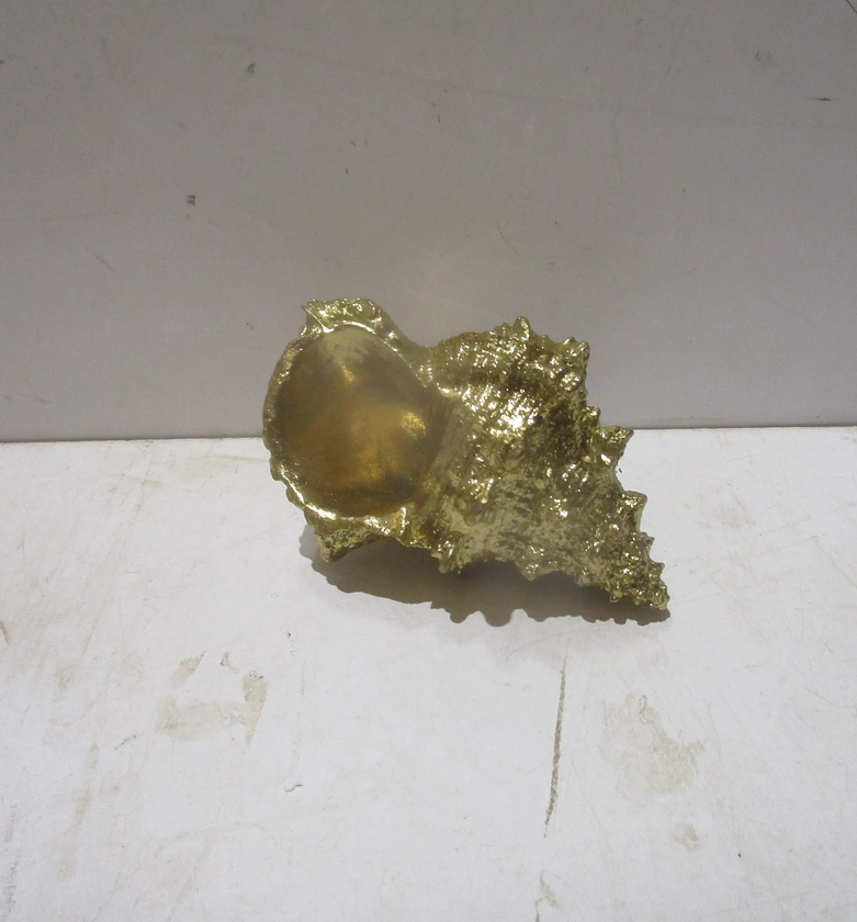 Gold conch, 334g resin multi image