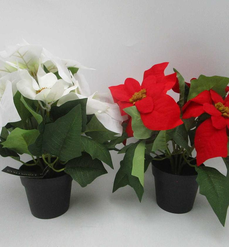 Artificial poinsettia in pot, image