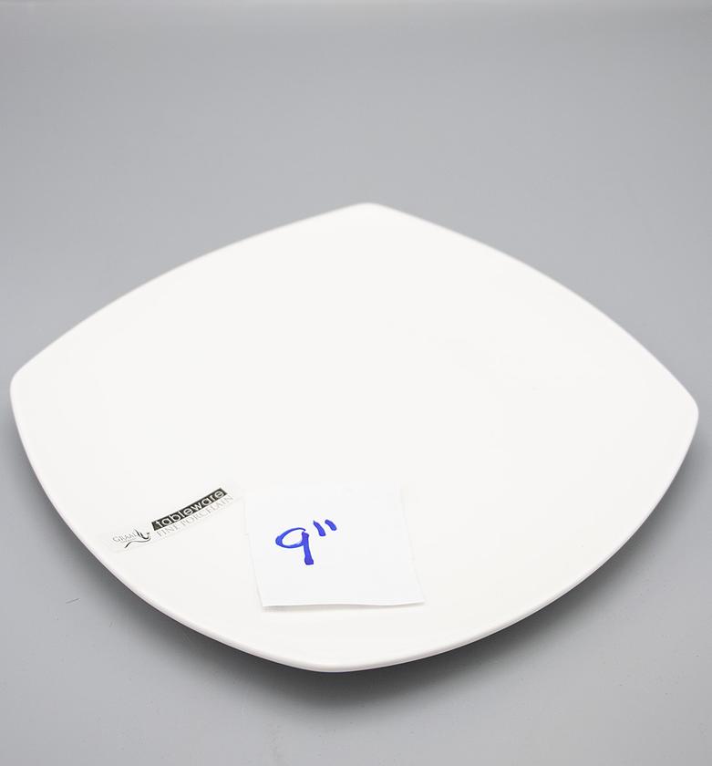 plate 9"square plate23X23 image