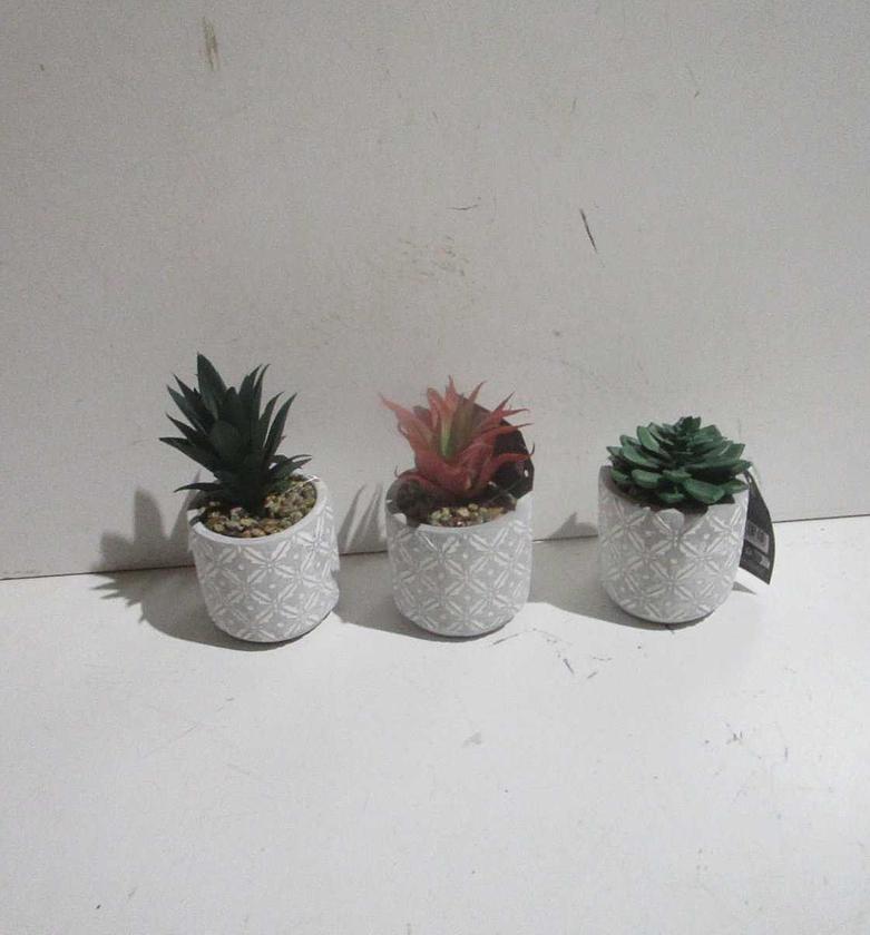 Natural Living Artificial Succulent Plants in Cement Pot – 3 Assorted Designs image