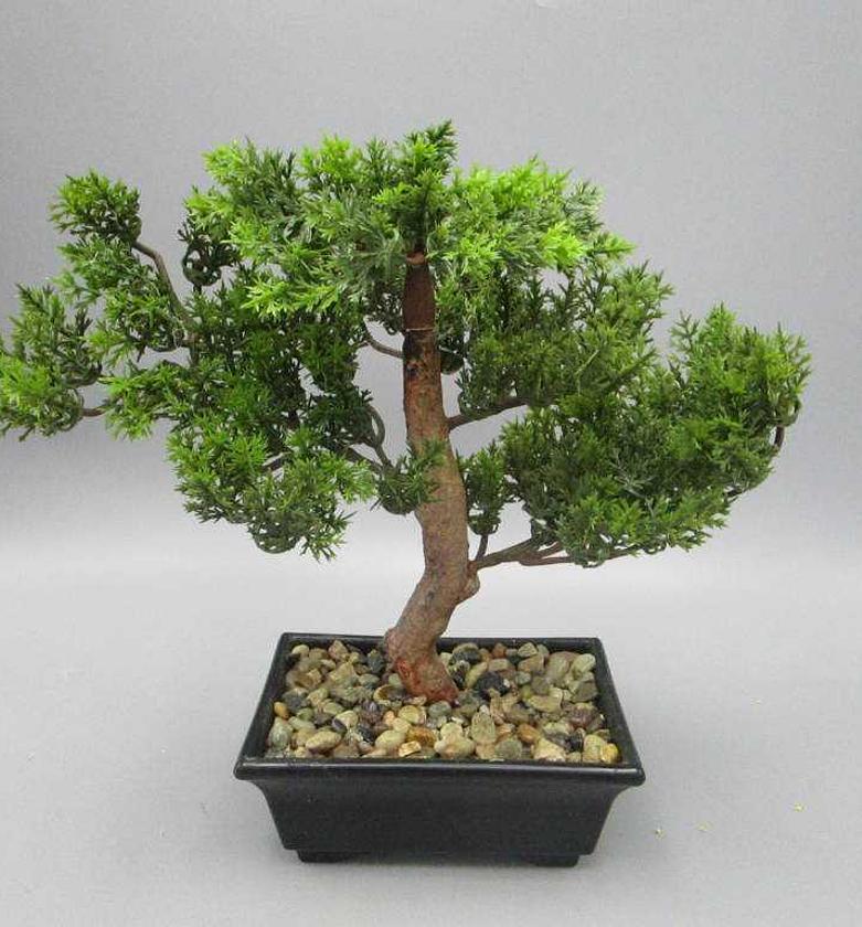 28CM pine bonsai, w/pot image