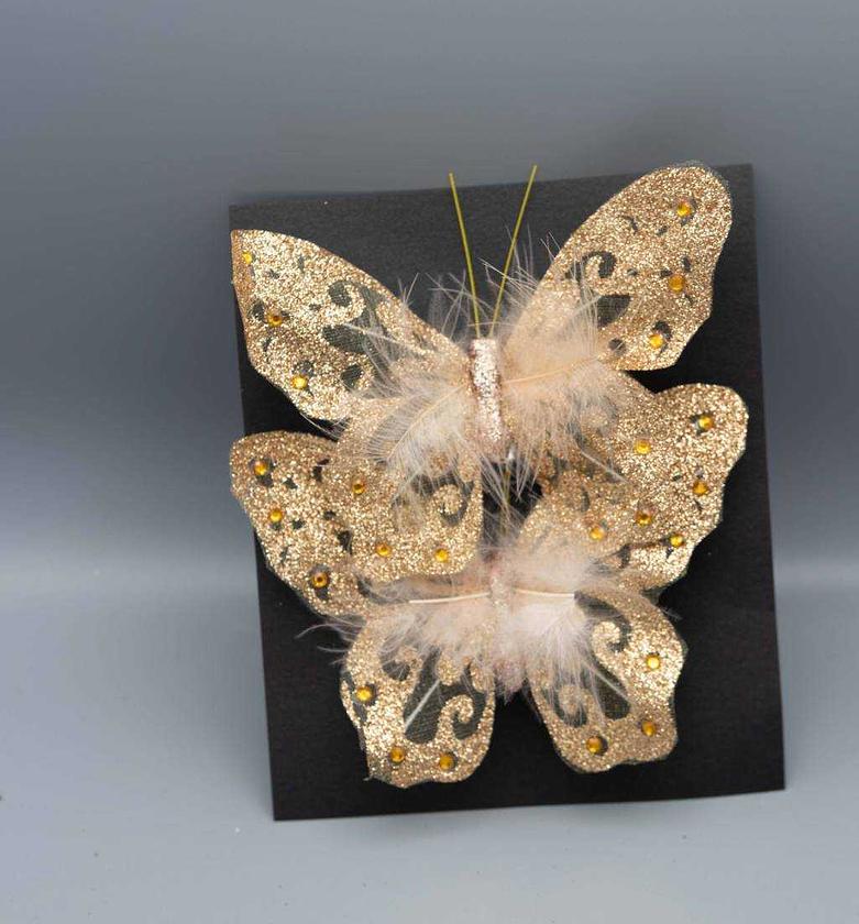 BUTTERFLY CLIP 10X3X14CM image