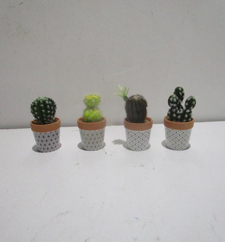 15cm potted succulent(pot7.5*8cm) #ref:ch06715840 image