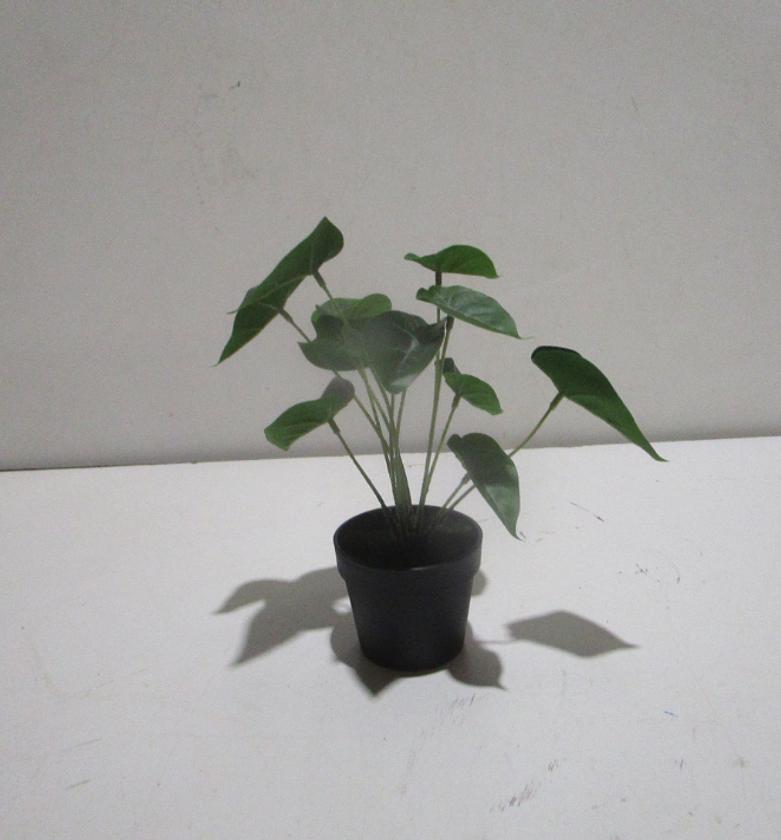 27cm real touch syngonium image