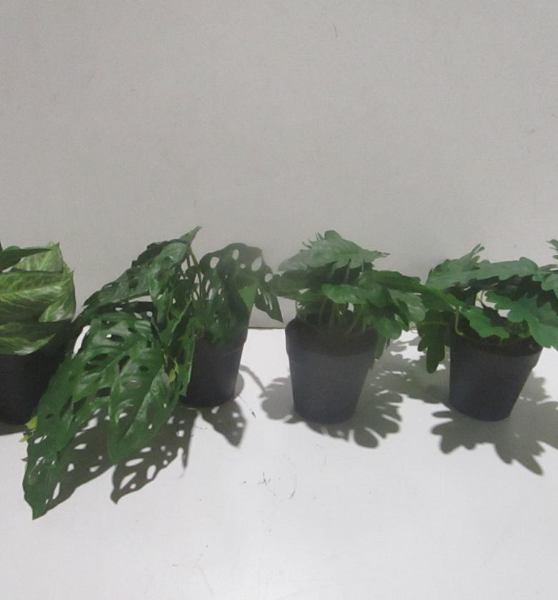 17cm real touch syngonium image