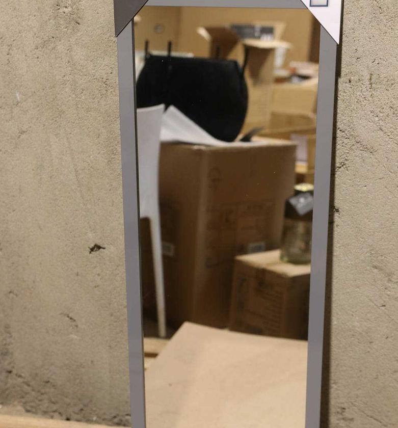 MIRROR DOOR FIRST COLLAR image