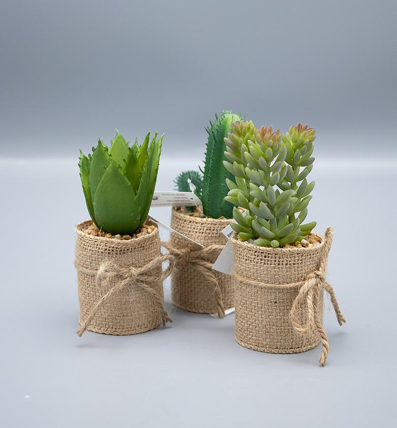 SMALLL CACTUS ON JUTE VAS image