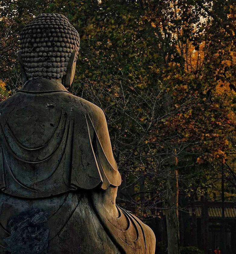 Canvas 4mm tempered glass image