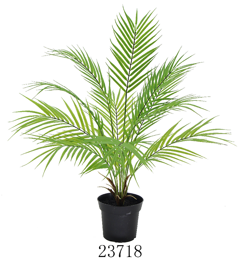 MINI PALM 11LVS image