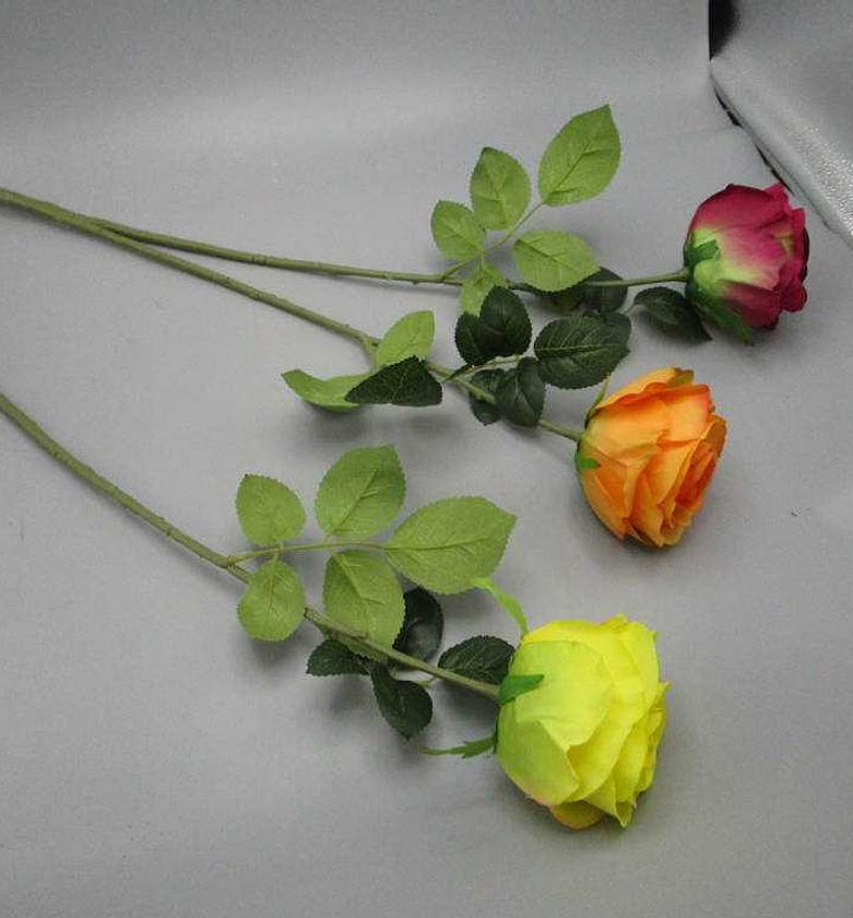 SINGLE ROSE MOQ 5 CTNS image