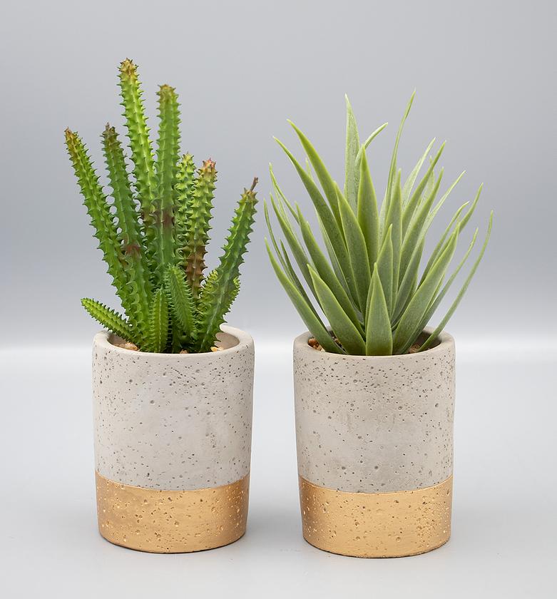 CACTUS IN VASE
 H22,2 image